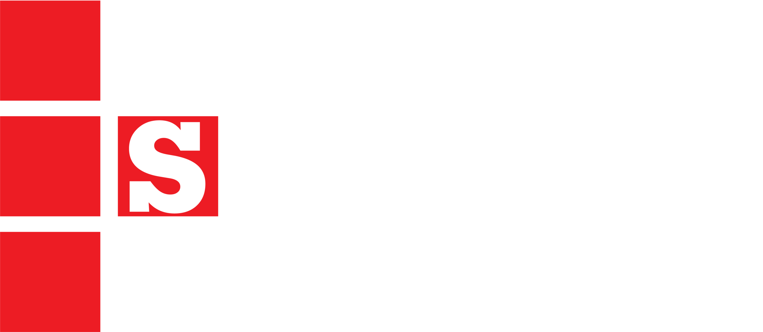Steel Storage Systems, Inc.